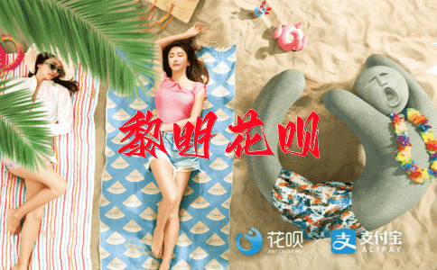 喜上眉梢花呗